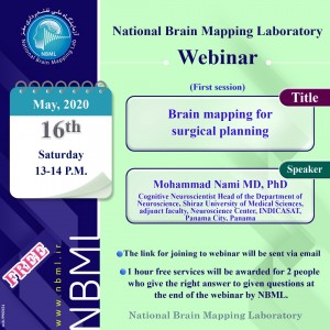 Brain mapping for surgical planning